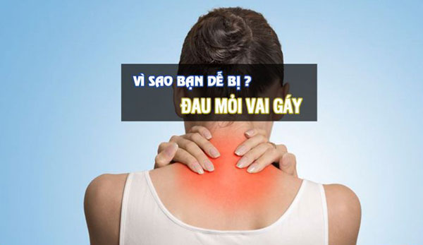 Tại sao bạn dễ đau mỏi cổ vai gáy? Khắc phục đau mỏi cổ vai gáy thế nào?