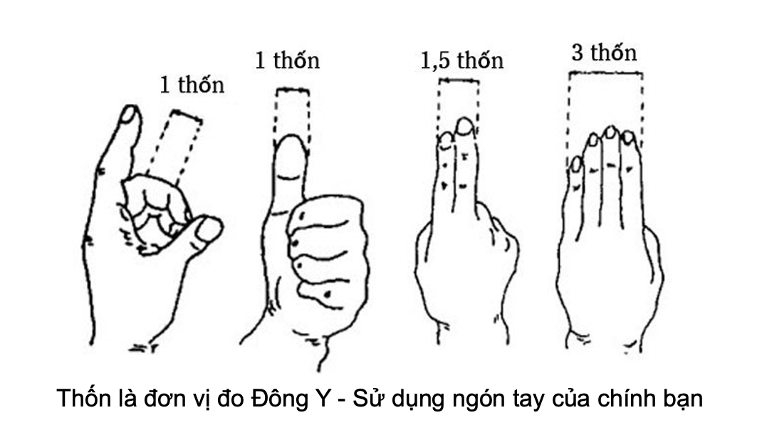 Thốn đông y