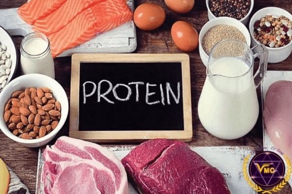 thực phẩm giàu protein cho bệnh nhân COVID-19