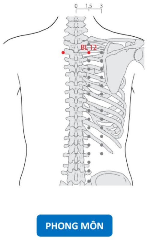 Huyệt Phong môn: Vị trí, tác dụng và cách xoa bóp bấm huyệt đơn giản ...